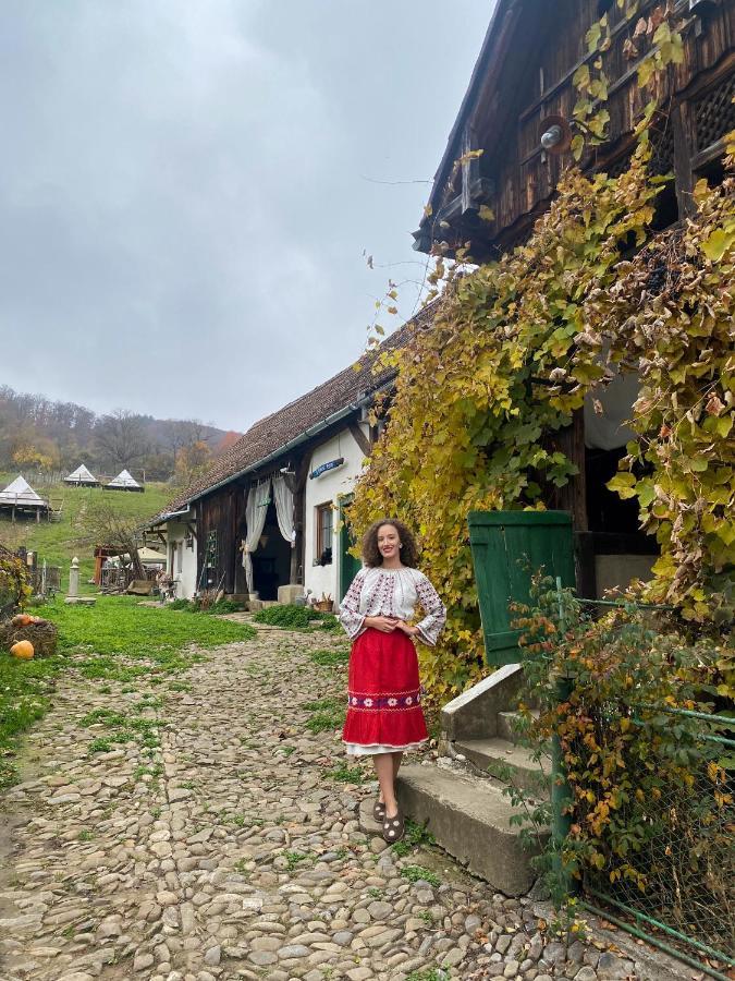 Saschiz 130/Lodging And Glamping Exterior foto
