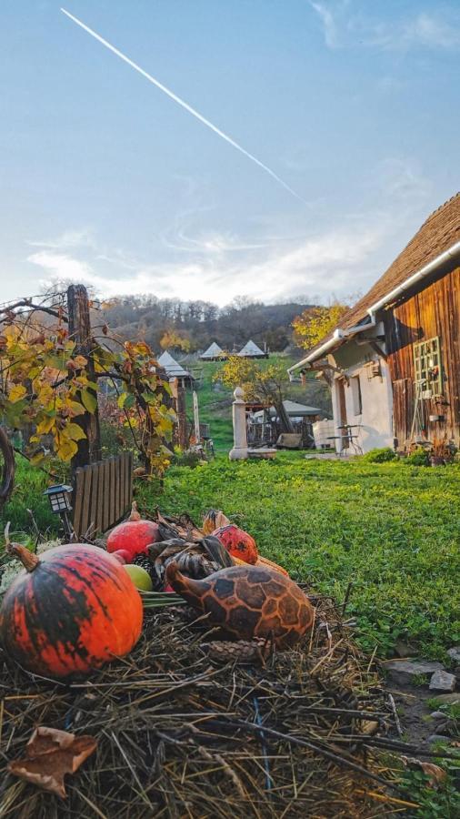 Saschiz 130/Lodging And Glamping Exterior foto