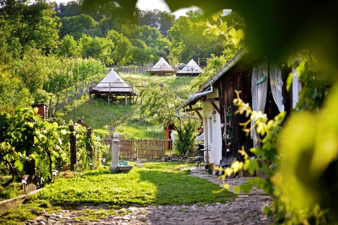 Saschiz 130/Lodging And Glamping Exterior foto
